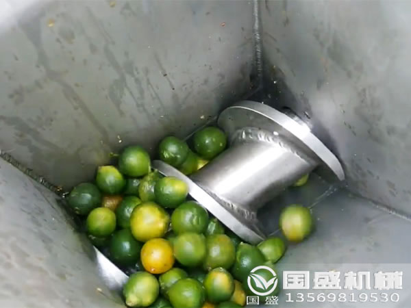 水果壓榨機什麽牌子好